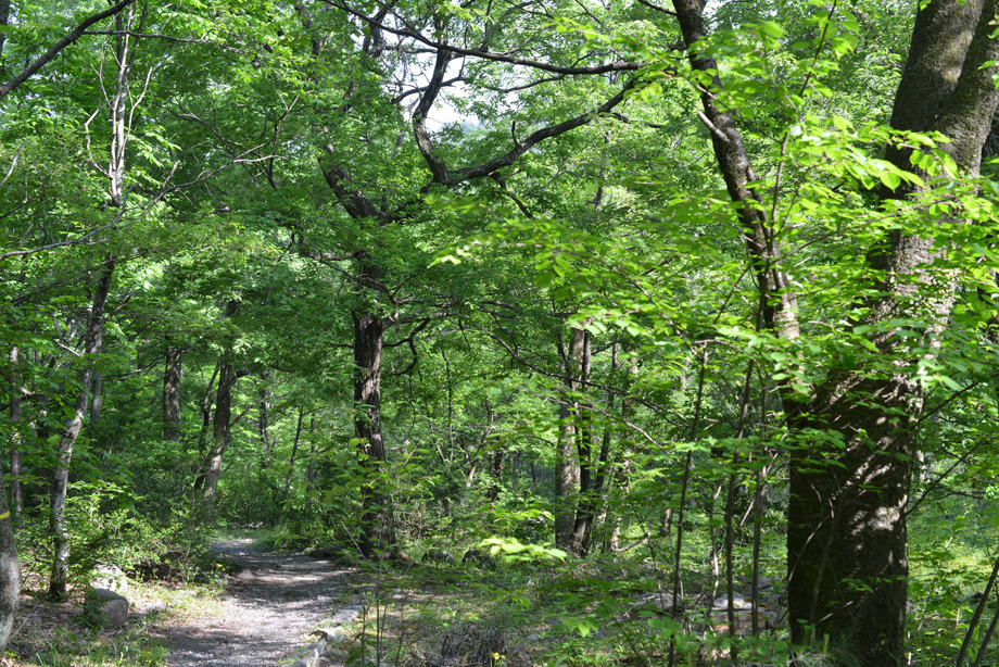 梅雨前20160521-02