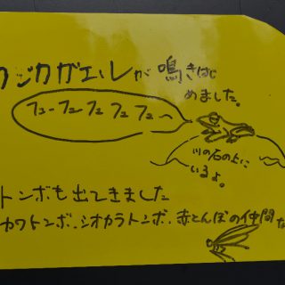カジカガエル看板