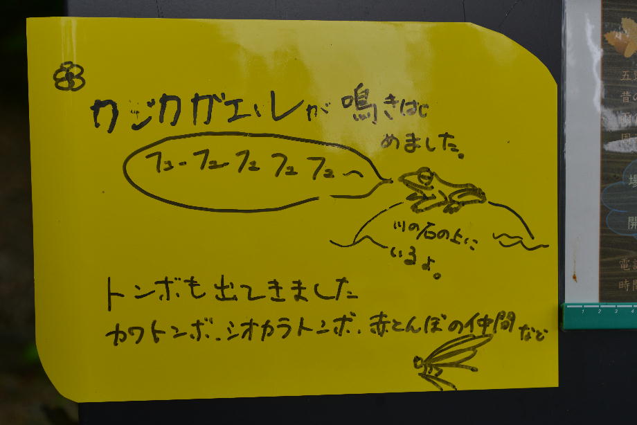 カジカガエル看板