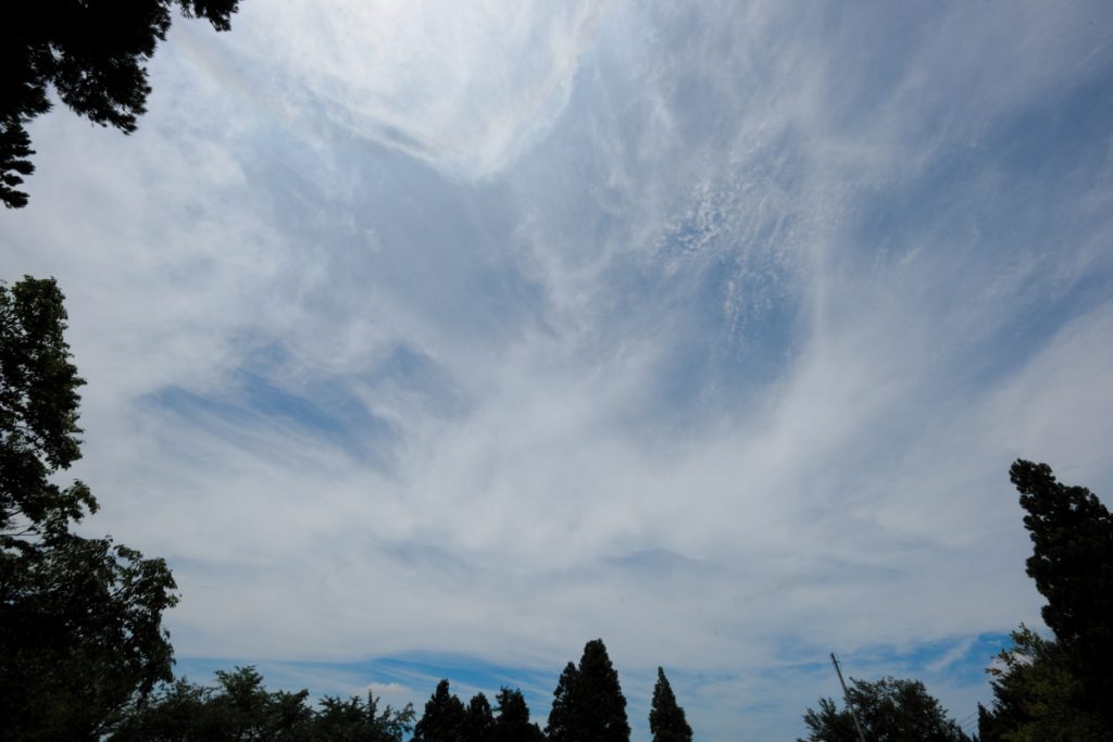 夏の約束 五頭自然郷