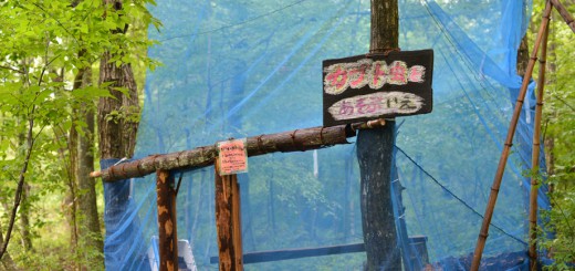 カブトムシの家